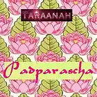 Picture for song 'Padparascha' by artist 'TARAANAH'