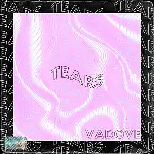Picture for song 'Tears' by artist 'VadOVE'