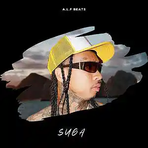 Picture for song 'SUGA / TYGA x CLUB TYPE BEAT' by artist 'Alfnobeat'