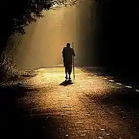 Picture for song 'New Day' by artist 'Backtraqcks BFG - Franf'
