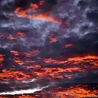 Picture for song 'Owl' by artist 'Neal Chattaway'