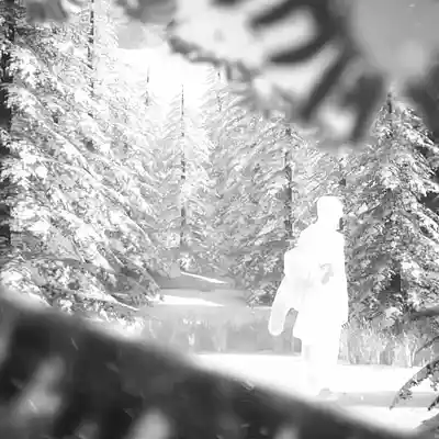 Picture for song '"frost"' by artist 'prodbyvahus'