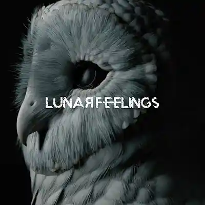 Picture for song 'Lunar Feelings' by artist 'Ryan'