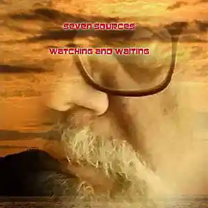 Picture for song 'WE'VE GOT TO STAND AGAIN' by artist 'SEVEN SOURCES'