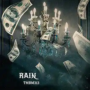 Picture for song 'Rain' by artist 'TMBM313'