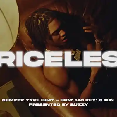 Picture for song 'PRICELESS - Nemzzz Type Beat' by artist 'buzzy beats'