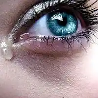 Picture for song 'My Pain ' by artist 'DiYuBeats'