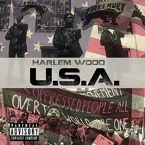 Picture for song 'USA' by artist 'Harlem Wood'