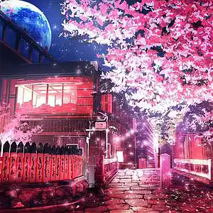 Picture for song 'SAKURA' by artist 'Nac Problem'