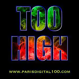 Picture for song 'Too High' by artist 'Paris Digital'