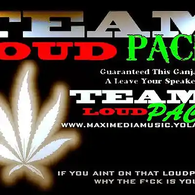 Picture for song 'danlocz ft mr.kopc mouth full of smoke' by artist 'Teamloudpack'