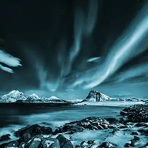 Picture for song 'Arctic' by artist 'Wooz Beatz'