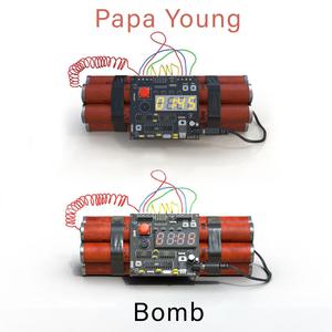 Picture for song 'Lajan' by artist 'Papa Young'