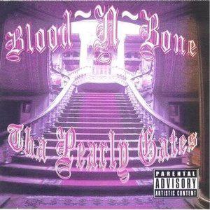 Picture for song 'Introduction' by artist 'Blood-N-Bone New Blood'