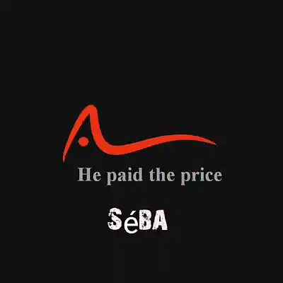 Picture for song 'He paid the price (Remix)' by artist 'Seba (2024)'