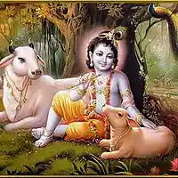 Picture for song 'Govinda jaya jaya' by artist 'Ananta One Man Bhajan band'