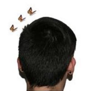 Picture for song 'Broken Brain' by artist 'Andi Wendt'