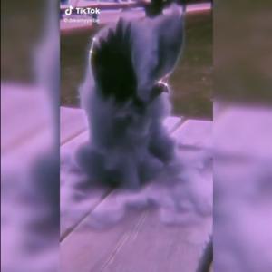 Picture for song 'HOLY SHMOKE (BUY 1 GET 4 FREE)' by artist 'DreamBigRecords'