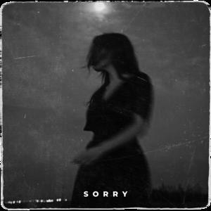 Picture for song 'sorry' by artist 'Erawy'