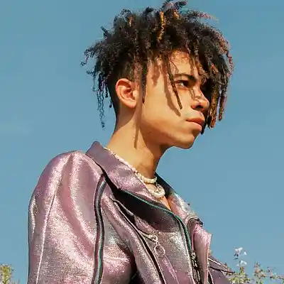 Picture for song 'No Love - Iann Dior Type Beat' by artist 'Flex God'