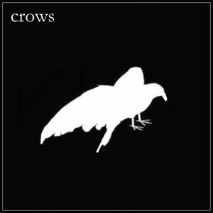 Picture for song 'crow' by artist 'GoseBeats'