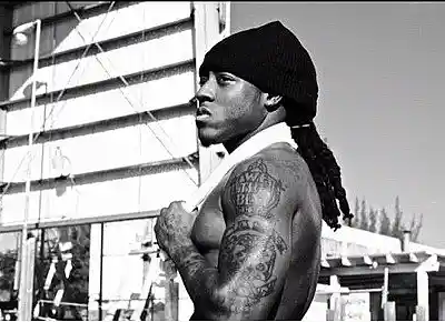 Picture for song 'Insane' by artist 'jgal100'