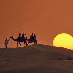 Picture for song 'Cairo (yung mal x pyrex whippa type beat)' by artist 'Maori Beats'