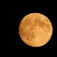 Picture for song 'Gibbous Moon' by artist 'Max Airplay'