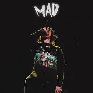 Picture for song 'MAD (Single)' by artist 'Okayt98'
