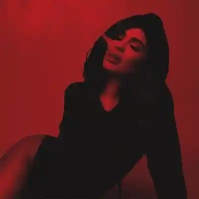 Picture for song 'DELICATE - Soft Soul R&B Trapsoul Beat' by artist 'Petrofsky Beats'