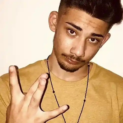 Artist picture