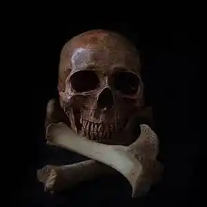 Picture for song 'Note Book White_Hello_' by artist 'Richard dwayne Brown'