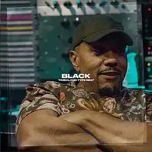 Picture for song 'Timbaland type beat - "BLACK" BIA & Timbaland' by artist 'RICH MELLO'