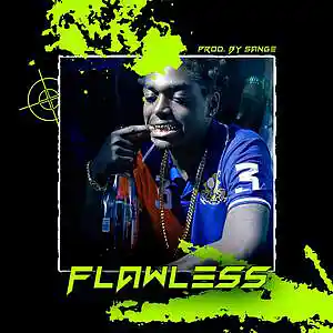 Picture for song 'Polo G x Toosii x Kodak Black Type Beat-Flawless' by artist 'sange beats'