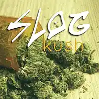 Picture for song 'kush (unmastered)' by artist 'slog'