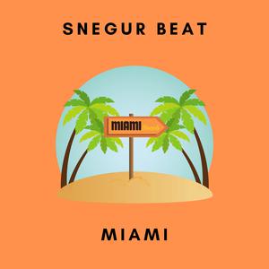 Picture for song 'Miami' by artist 'Snegur'