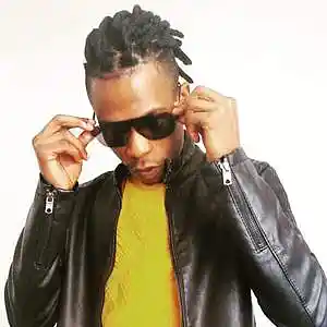 Picture for song 'High Level' by artist 'Sekuru Berv'