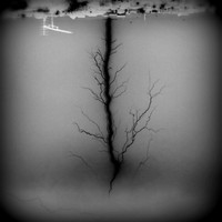 Picture for song 'Enlightened Liars' by artist 'The Serendipitous Cacophonies'