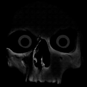 Picture for song 'Souls Of The Dead' by artist 'Trascendents'