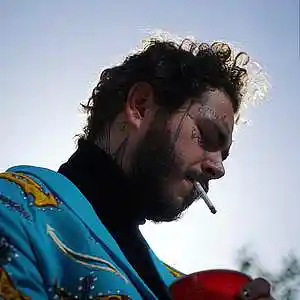 Picture for song 'NEEDED U *Post Malone*' by artist 'XXXMAKEITBOUNCE'