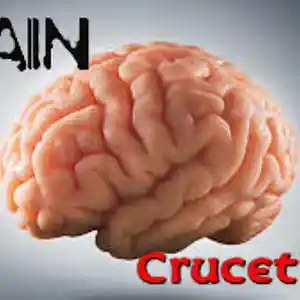 Picture for song 'Brain' by artist 'Crucethus'