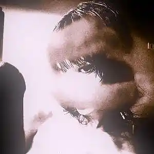 Picture for song 'BAD AURA' by artist 'DAN MVSON'
