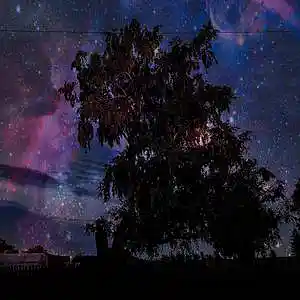 Picture for song 'Dana' by artist 'Liko'