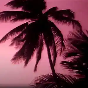 Picture for song 'Straight ($uicideboy$ x Ramirez type beat)' by artist 'Vinci Bone Beats'