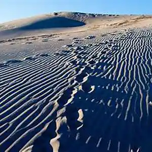 Picture for song 'DUNE' by artist 'adj'