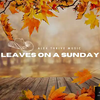 Picture for song 'Acoustic Guitar Country Pop Type Beat-Leaves On A' by artist 'Alex Thrive Music'