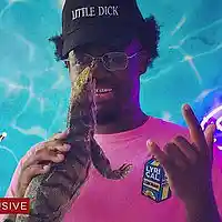 Picture for song 'FLOURISH (FREE DL!) *UGLY GOD x CARTI x MADEINTYO*' by artist 'BRAVESTARR'