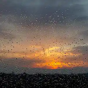 Picture for song 'Rain' by artist 'fisshINYOUREARS'