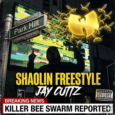 Picture for song 'Shaolin (Freestyle)' by artist 'Jay Cuttz'