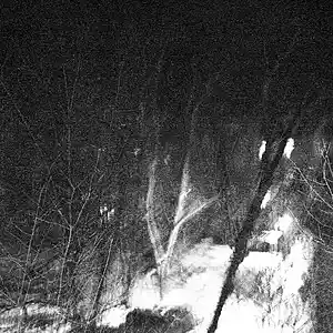 Picture for song 'wau(osamason type beat)' by artist 'Kenny8eats'